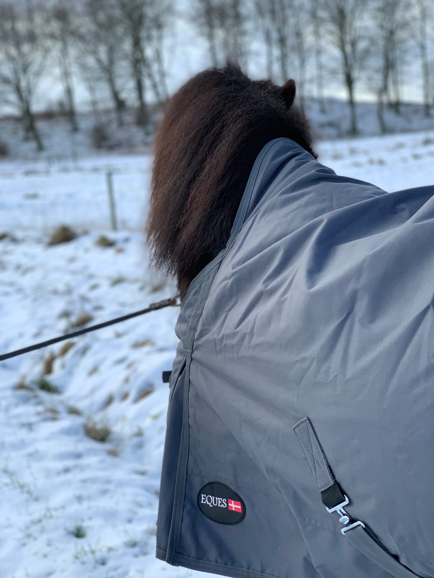Eques Übergangs-/Regendecke