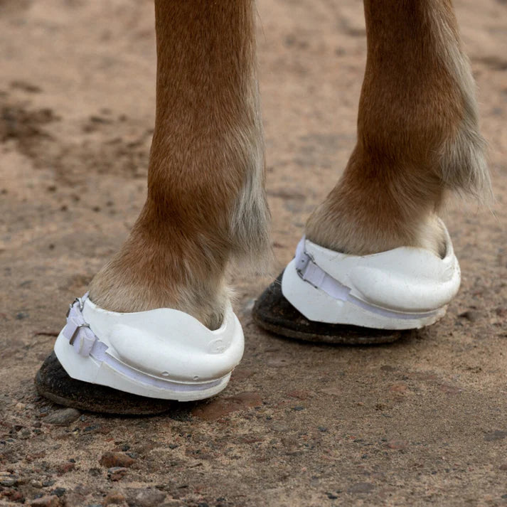 GBoots - das Original