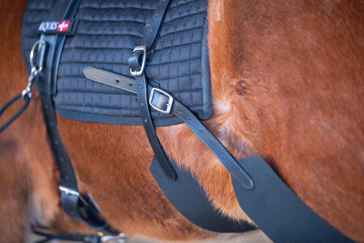 EQUES Core Trainer System