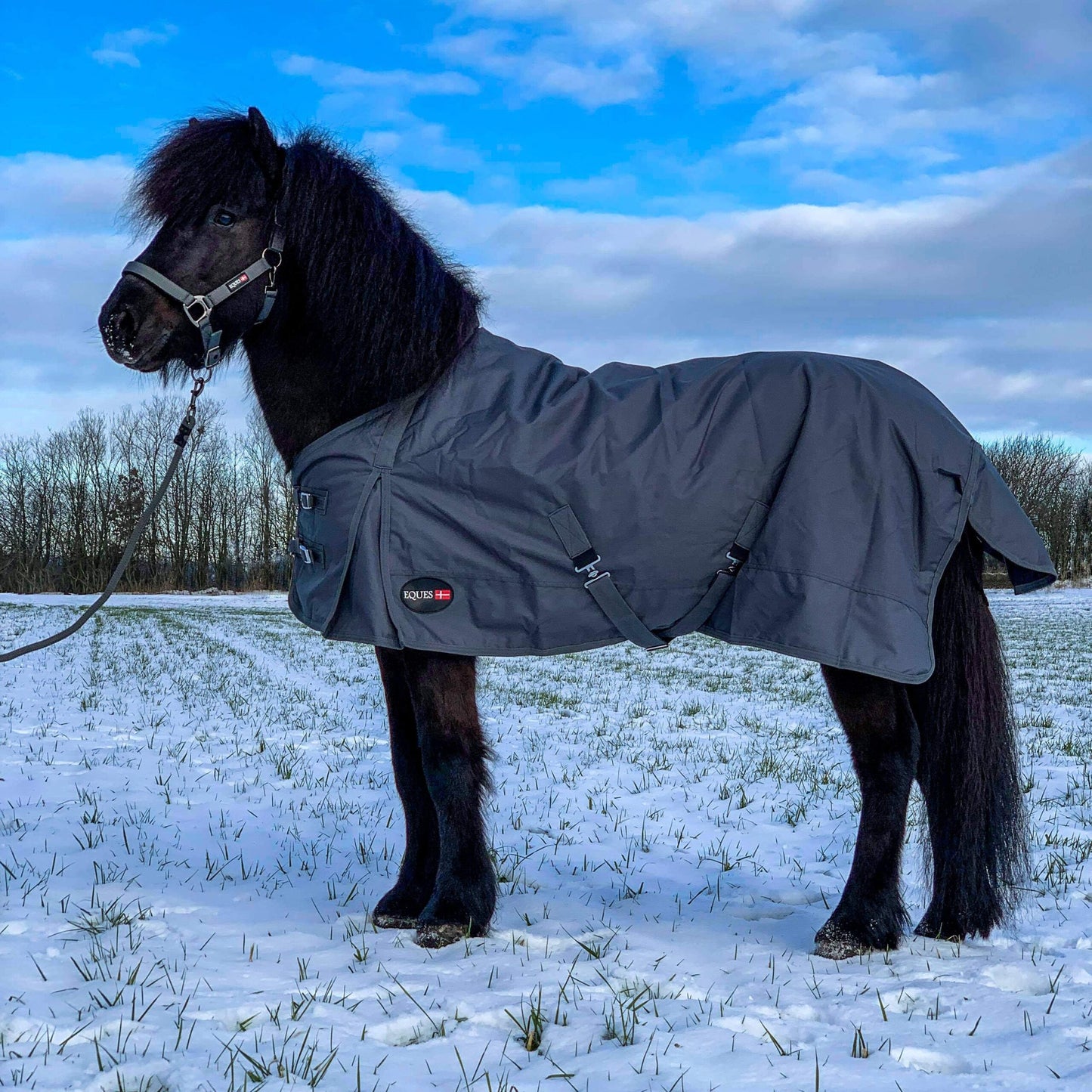 Eques Übergangs-/Regendecke